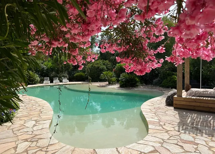 Luxueuse Villa, Hyper Centre Port De Porto Vecchio